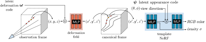 Nerfies 方法流程:观测帧坐标 (x,y,z) → 形变场 MLP(条件于 per-frame latent \omega)→ canonical 坐标 (x',y',z') → 模板 NeRF(条件于外观 latent \psi)→ RGB + 密度
